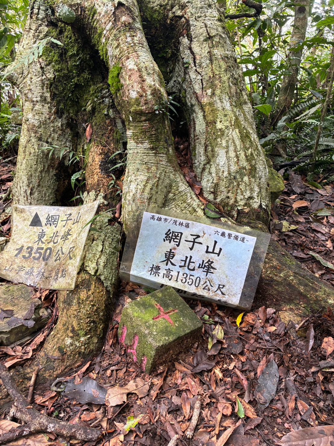 鳴海山、網子山一日風景
